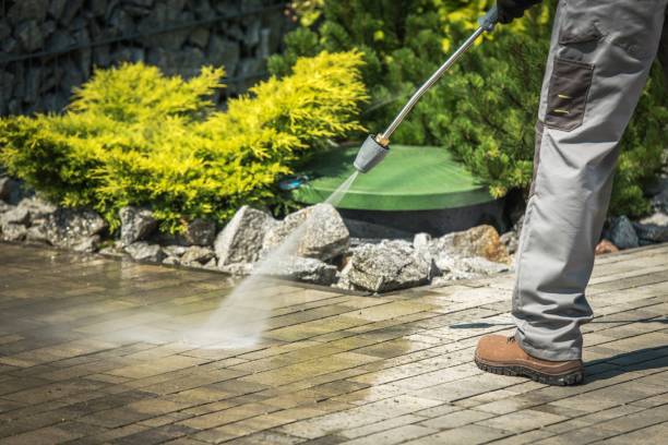 Best Roof Washing  in Kenvil, NJ